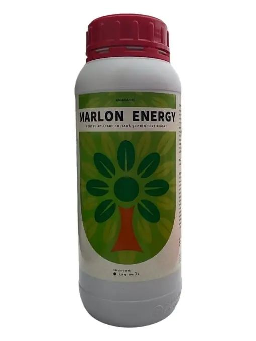 Reducere extra Aminoacizi Absorbție Rapidă - MARLON ENERGY