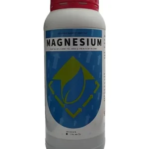 Ofertă de sezon Formulă Magneziu - Absorbție Rapidă - MAGNESIUM