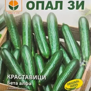 Doar azi Seminte de Castraveti BETA ALPHA, soi cu lungime de 16-18 cm - 1g