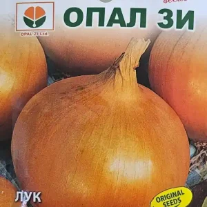 Seminte de CEAPA DENSITY, soi galben auriu care nu este iute - 2g Reduceri