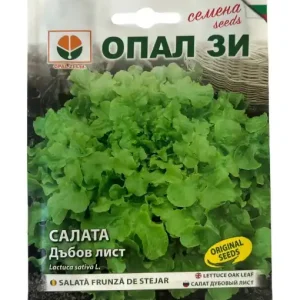 Seminte Salata FRUNZA DE STEJAR, ambalaj 2 grame/plic Preț promoțional