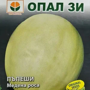 Popular Seminte de Pepene Galben HONEY DEW, fructe ovale 2.5-3 kg - 3 gr