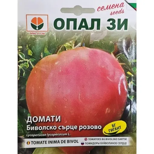 Seminte Tomate Inima de Bivol Roz: Aroma intensa si culoare vibranta - 0.2 gr Ofertă limitată