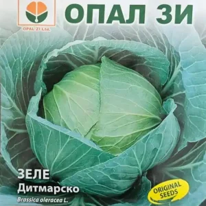 Ofertă Seminte de Varza DITMARSKO, soi timpuriu de varza rotunda - 5 gr