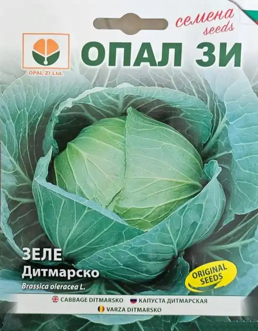 Ofertă Seminte de Varza DITMARSKO, soi timpuriu de varza rotunda - 5 gr