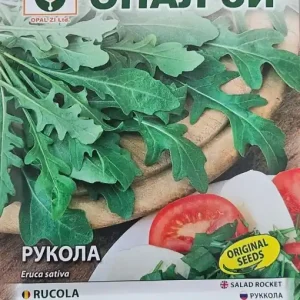 Expediere rapidă Seminte de RUCOLA, planta cu inaltimea de pana la 30 cm - 2g