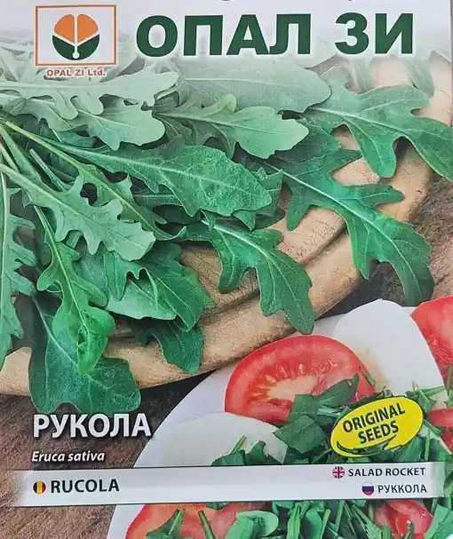 Expediere rapidă Seminte de RUCOLA, planta cu inaltimea de pana la 30 cm - 2g