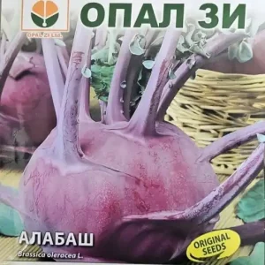 Livrare gratuită Seminte de Gulie VIOLET VIENNA, ideal clima rece si umeda - 3g