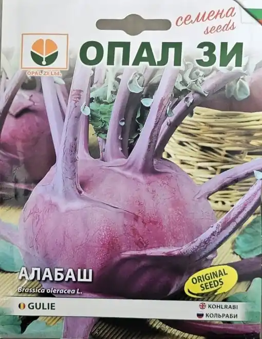 Livrare gratuită Seminte de Gulie VIOLET VIENNA, ideal clima rece si umeda - 3g