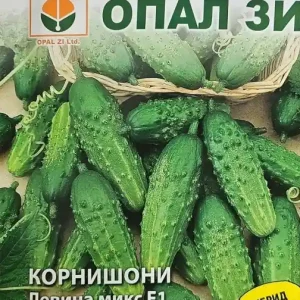 Seminte de Castraveti LEVINA MIX F1, soi hibrid timpuriu - 1G Nu rata