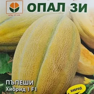 Seminte de pepene galben HIBRID 1 F1, soi hibrid timpuriu - 1 gr Transport gratuit