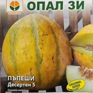 Seminte de Pepene Galben DESERTEN 5, soi semi-timpuriu - 3 gr Cumpără online