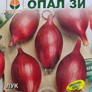 Ieftin Seminte de Ceapa ROSA LUNGA, forma alungita, culoare violet - 2g