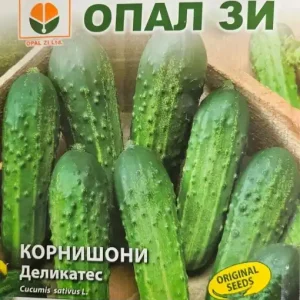 Seminte de CASTRAVETI DELICATES, soi semi-timpuriu - 2g Expediere rapidă
