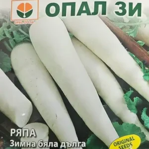 Seminte de Ridiche ALB LUNG (nap), vegetatie 80-90 zile - 5 gr Preț redus