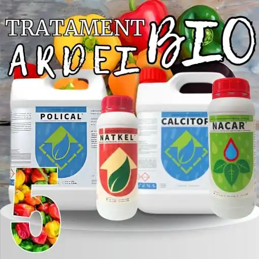 BIOPACK Stadiu 5 ARDEI – Coacere Accelerata si Gust Intens Expediere rapidă
