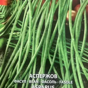 Livrare gratuită Fasole Asparus Cataratoare: Gust autentic, nutrienti essentiali