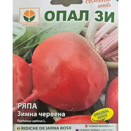 Seminte de RIDICHE DE IARNA ROSIE, miez alb, putin picant Preferatul clienților