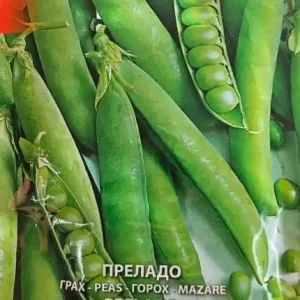 Seminte de Mazare de Gradina PRELADO, crestere timpurie Ofertă exclusivă