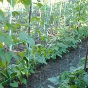 Plasa pentru sustinere plante, montare vertical sau orizontal Transport gratuit
