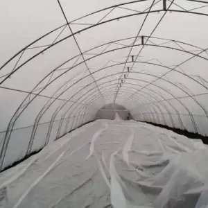 Vezi acum Solar Legume Profesional Regal Fermierul 6X26 metri