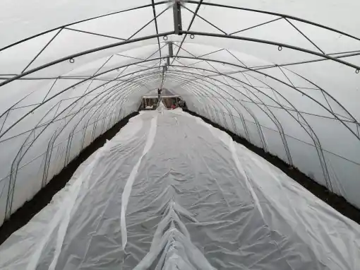 Ofertă de sezon Solar Legume Profesional Regal Fermierul 8X50 metri