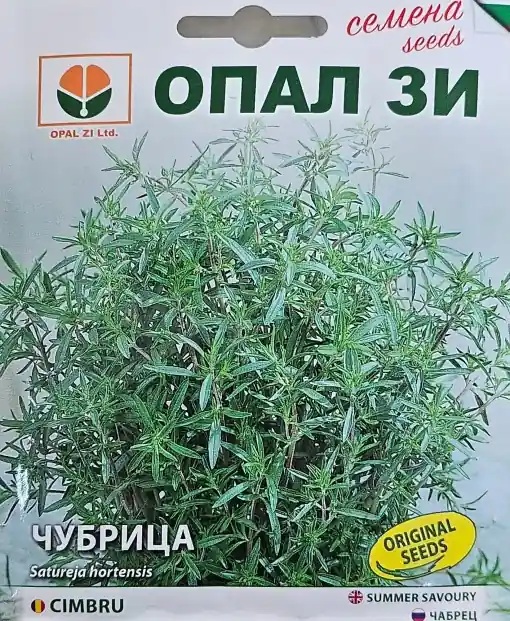 Cumpărături sigure Seminte de Cimbru – Soi Usor de Cultivat – 2g