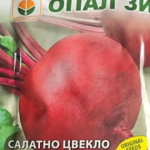 Seminte de SFECLA DE SALATA BIKORES, soi semi-timpuriu - 5g Livrare gratuită