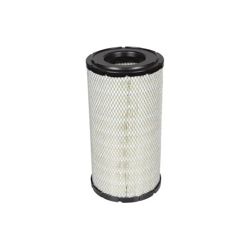 Reduceri Filtru Aer Primar 47610231 P025617 C21584