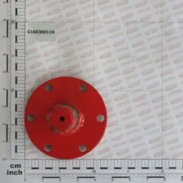 Maschio Gaspardo PRIZA DE FORTA G16030011R Vezi acum
