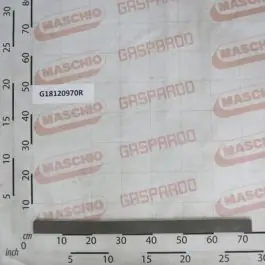 Lichidare de stoc Maschio Gaspardo GUARNIZIONE COPER.TRAM.BALENA G18120970R