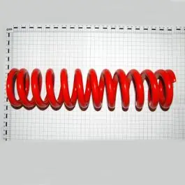 Ultima șansă Maschio Gaspardo ARC COMPRESIUNE G18903700R