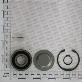 Doar azi Maschio Gaspardo SET RULMENT BIELA EXT. FB G21120154R