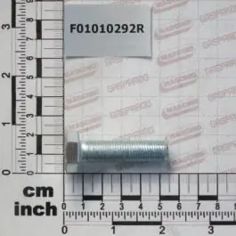 Maschio Gaspardo SURUB M12X1,25X45 U5740 8.8ZN F01010292R Reduceri