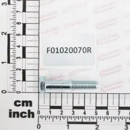 Maschio Gaspardo SUR. M 8X1,25X 45 U5737 8.8ZN F01020070R Reducere