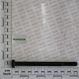Maschio Gaspardo SURUB 14 X190 5737 8.G F01020231R Bestseller