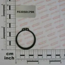 Livrare expres Maschio Gaspardo INEL E. DE 42X1.75 U7435 F02050179R