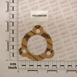 Maschio Gaspardo GARNITURA PENTRU POMPA UZ F03100035R Doar azi