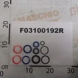 Maschio Gaspardo SET GARN.CILINDRU 14911000 F03100192R Ieftin