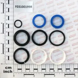 Maschio Gaspardo KIT GUARNIZ.CILINDRO 16910340 F03100199R Ofertă exclusivă