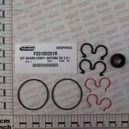 Maschio Gaspardo SET GARN.MOTOR 67007449 F03100201R Chilipir