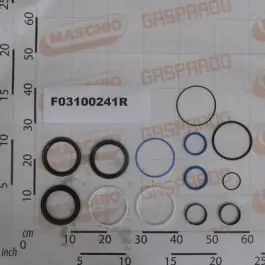 Maschio Gaspardo KIT GUARNIZ.CILINDRO R17210822 F03100241R Ofertă exclusivă