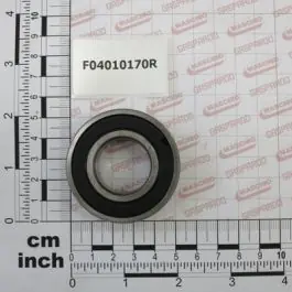 Maschio Gaspardo RULMENT D25 D52 B15 6205 2RS F04010170R Preț redus
