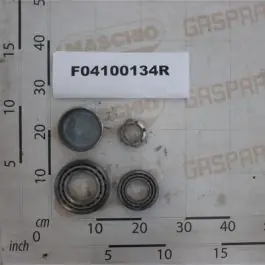 Ofertă specială Maschio Gaspardo KIT CALOTTA-CUSCINETTI 5317680 F04100134R