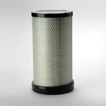 Filtru Aer Donaldson P532474 Cel mai vândut