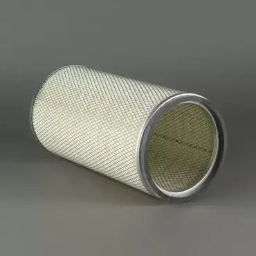 Filtru Aer Donaldson P114931 Ofertă limitată