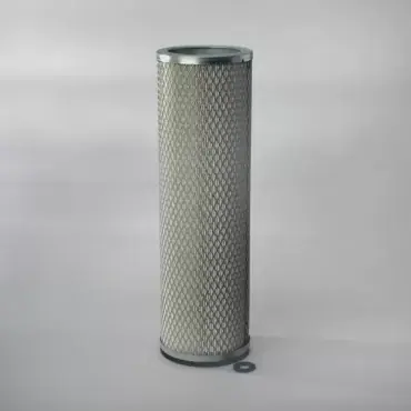 Filtru Aer Donaldson P113343 Promoție