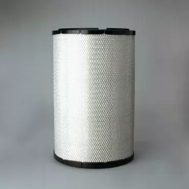 Filtru Aer Donaldson P783611 Cumpără online