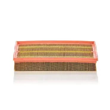 Plată sigură Filtru aer C 33 189 Mann Filter