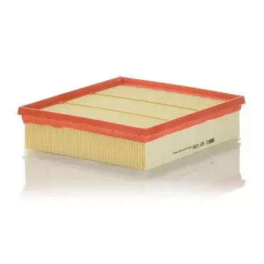 Filtru aer C 22 039 Mann Filter Livrare gratuită